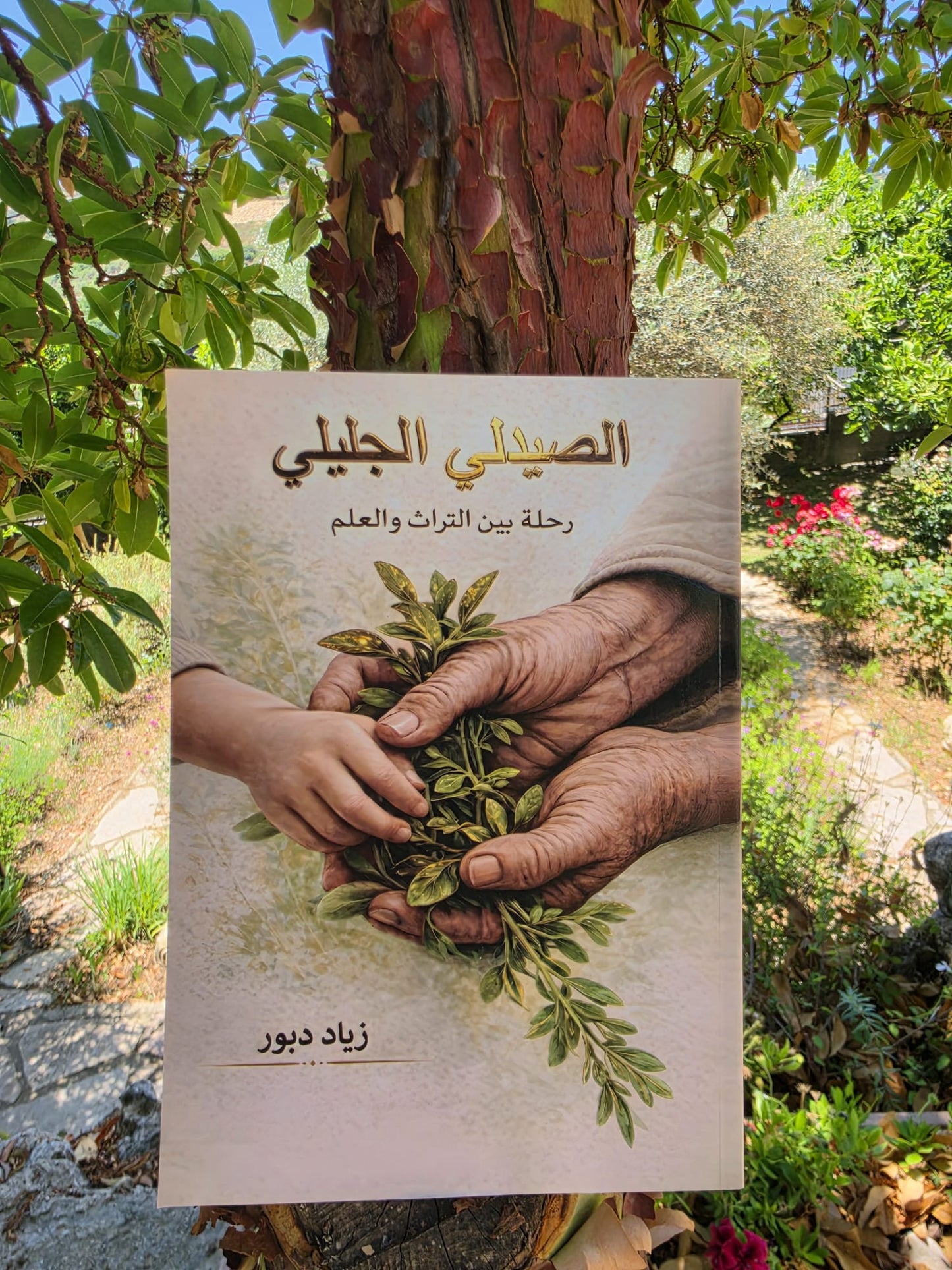 ״الصيدلي الجليلي״- رحله بين التراث والعلم
