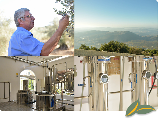 gallery media mobile