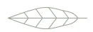 image 61.png