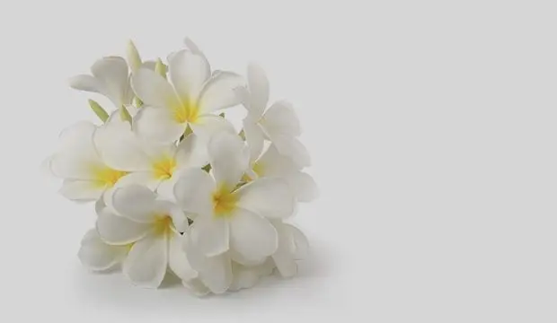 קוסמטיקה טבעית - פרח